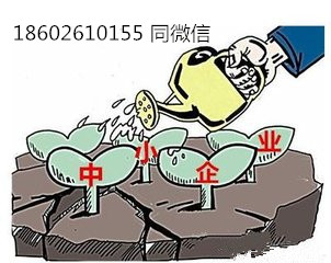 科技型中小企业咨询服务(咨询服务)